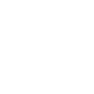 dg white logo-EXDS