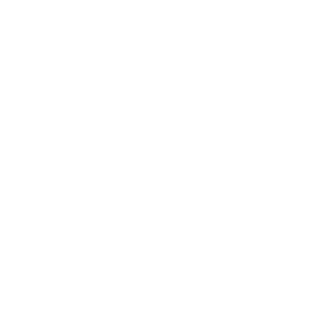 growth audit white logo-EXDS